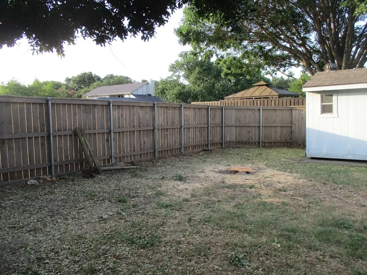Cleared yard after professional tree removal in Montoursville